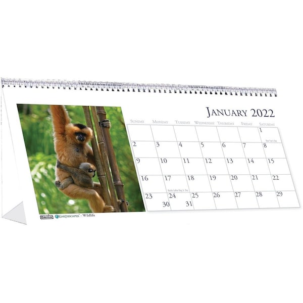 House Of Doolittle Calendar, Tent, Wildlife HOD3689 - main